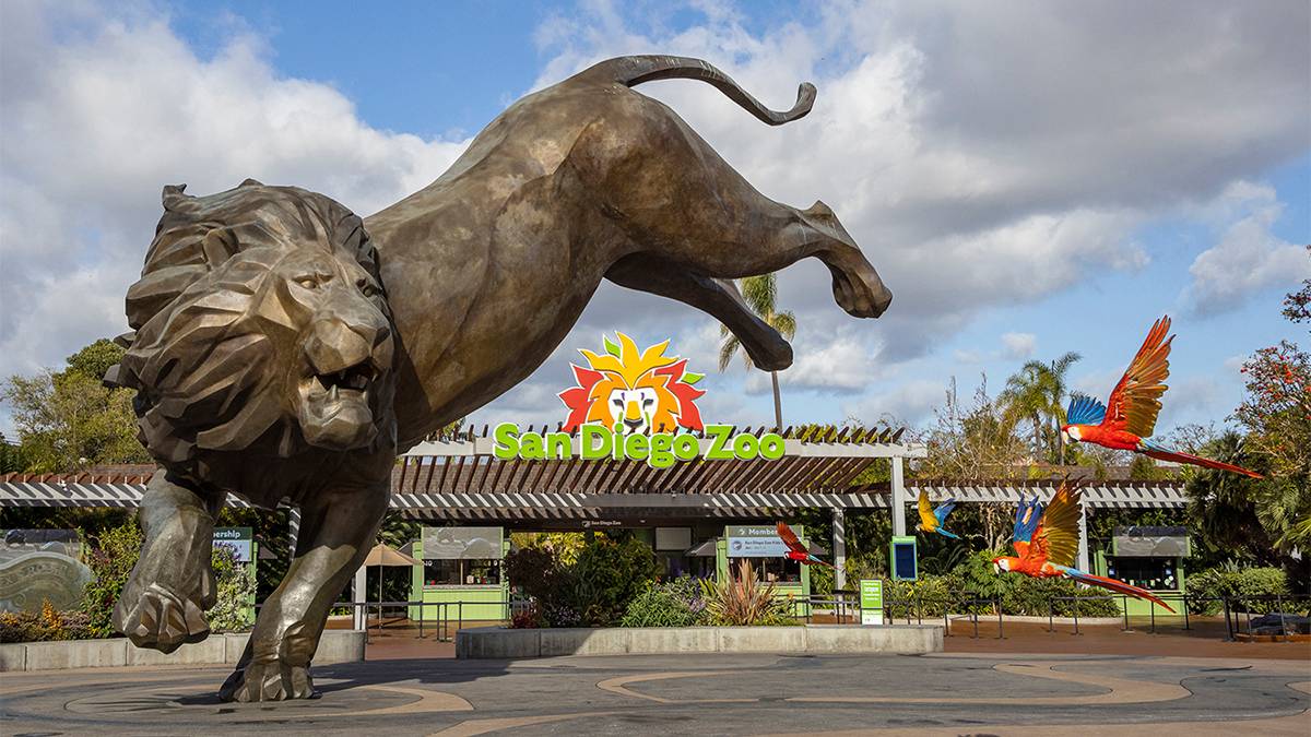 Close up of the San Diego Zoo tiger statue and sign in San Diego, California, USA